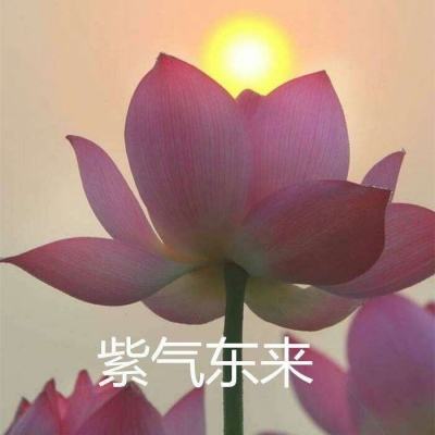 traffix3d游戏(暂未上线)v3.4 安卓版